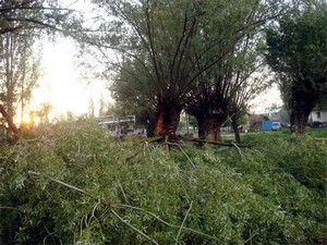 Kütahya'nın Çavdarhisar ilçesinde yıldırım düştü: 2 ölü, 3 yaralı