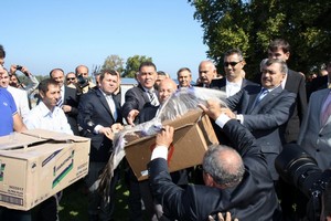 Yaban hayvanları bilimsel yöntemlerle tedavi edilecek