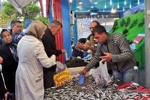 2 ton hamsiyi 2 TL'den sattı
