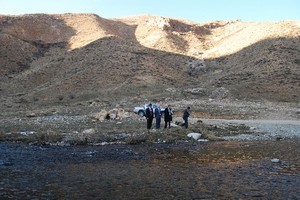 Hakkari arı ormanı ile kalkınacak