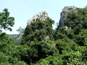 İlginç hayvan figürlerinin bulunduğu kanyon piknik alanı yapılacak