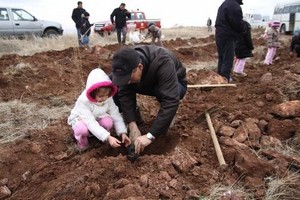 Eskişehir’de öğrenciler 300 fidan dikti.
