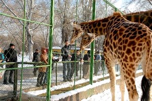 Soğuk havaya rağmen hayvanat bahçesinin ziyaretçileri eksik olmuyor