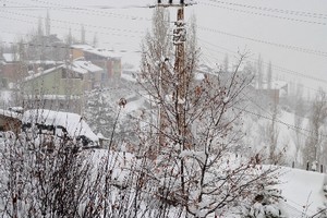 Hakkari'de kar hayatı dondurdu