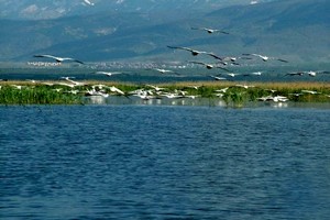 Eber Gölü için Meclis'e araştırma önergesi