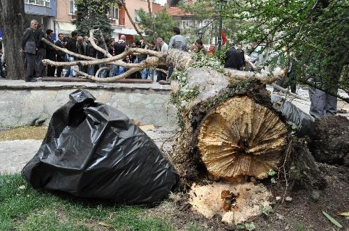 Eskişehir’de kuvvetli lodos: 1 yaralı