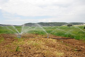 Aşağı Kuzfındık’ta Sulama Sezonu Açıldı
