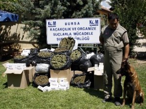 Polis son 6 ayda kaçakçılık yapan 145 kişiyi yakaladı