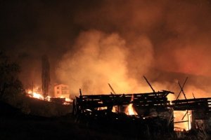 Kütahya'da orman yangını