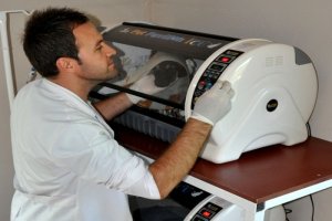 Sahipsiz hayvanlar için 2 yoğun bakım ünitesi kuruldu
