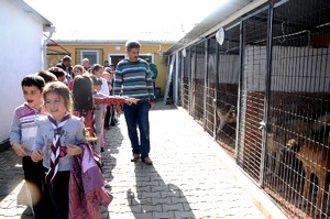 Minik izciler hayvan barınağını gezdi