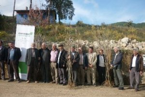 Dağ köylerine fidan desteği