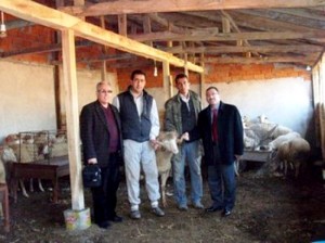 Osmangazi'nin 5 köyünde 200 damızlık koyun ve 10 koç dağıtıldı