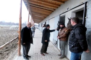 Afyonkarahisar’da termal otel müşterileri için atlı koşu pisti yapılıyor