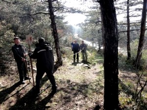 Bursa, Bilecik, Yalova ormanlarına 60 kilometre yeni yol yapılacak