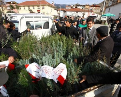 Orman köylülerine ürün veren 5 bin fidan dağıtıldı