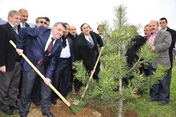 Hamamlıkızık köyüne 210 adet fidan dikildi.