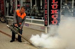 Belediye ilaçlamaları sürdürüyor