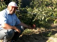 Kütahya dış pazarı hedefliyor