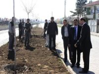 Veysel Eroğlu, Şuhut'ta