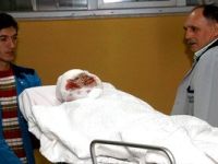 Kütahya'da kadınlara kurt saldırdı: 1 ölü, 1 ağır yaralı.