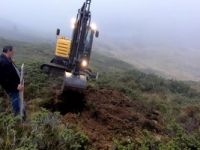 Uludağ’da kayak merkezi planlanan yerler ağaçlandırılacak