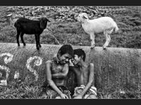 Ödüllü fotoğraflar sergileniyor