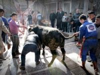Kurban Bayramı coşkuyla kutlanıyor