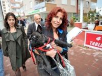 Mustafa Sarıgül borcu ödedi, Bulldog cinsi köpek, hacizden kurtuldu.