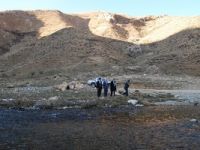Hakkari arı ormanı ile kalkınacak