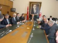 Dalında buruşan zeytin üreticiyi zora soktu