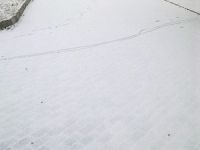 Şuhut'ta yılın ilk karı yağdı.