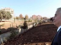 Zeytinköy’e 25 bin metrekarelik park yapılıyor.