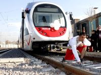 Kendi ağırlığının 107 katı tramvay vagonlarını gücüyle çekmeyi başardı.