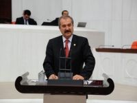 Afyonkarahisar’ın jeotermal kaynakları Meclis'e taşındı