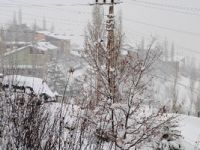 Hakkari'de kar hayatı dondurdu