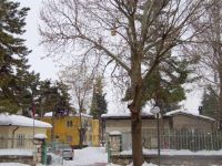 Gölbaşı'nda ağaçlara ahşap kuş kafesleri yerleştirildi