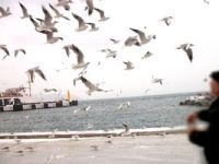 Çanakkale’de fırtına hayatı olumsuz etkiyor