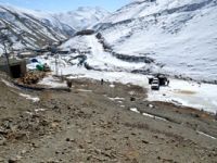 At sırtında 258 kilo uyuşturucu