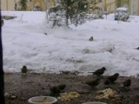 TOKİ konutları sakinlerineden örnek uygulama