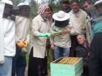 Sertifikalı arıcılık kursları ilgi görüyor