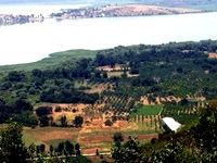Küçülen tarım arazileri birleştiriliyor