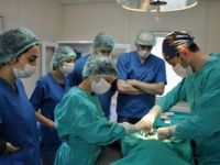 Veterinerlik öğrencileri hayvan barınağında uygulama yapıyor