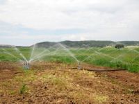 Aşağı Kuzfındık’ta Sulama Sezonu Açıldı