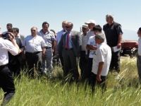 Aydan Hanım arpa çeşidi tarla günüyle çiftçiye tanıtıldı