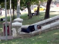 Sıcaklar 40 dereceyi buldu, insanlar gölgeye koştu