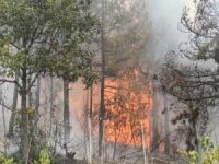 Facia ucuz atlatıldı