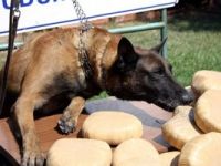 Park halindeki otomobile çarpınca yakalandı