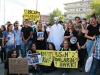 Hayvanseverler, sokaklara döküldü