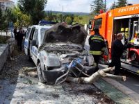 Polis aracı, iki ağacı devirdikten sonra durabildi